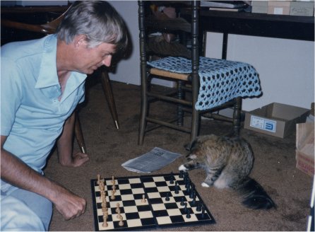 Playing chess with my cat