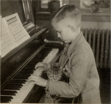 Playing piano with cat