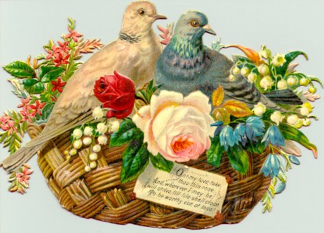 Birds in Basket